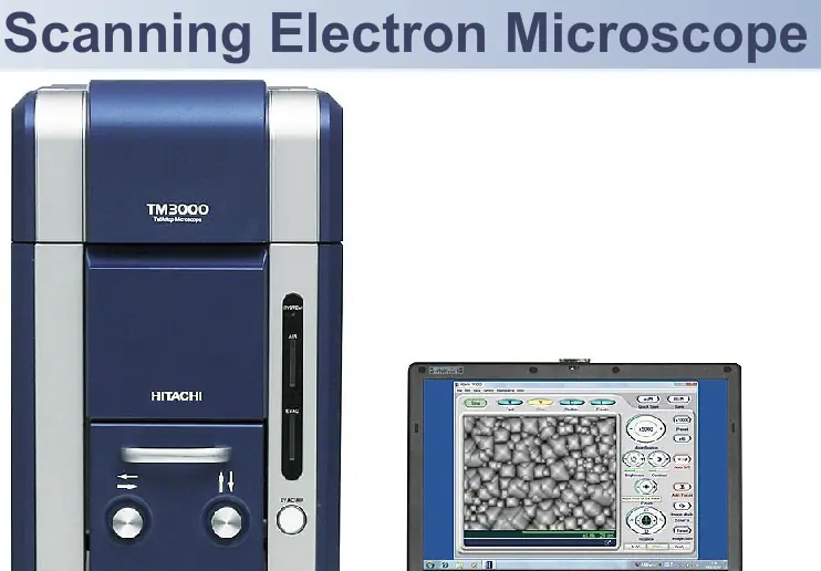 The Scanning Electron Microscope logo
