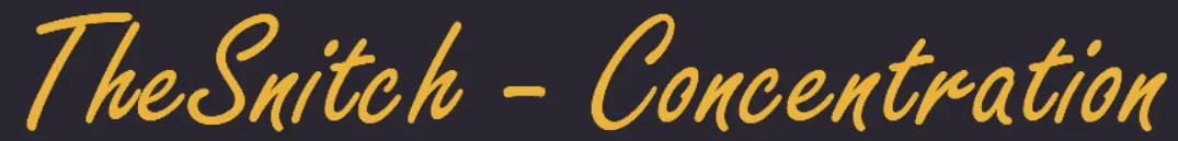 TheSnitch - Concentration logo