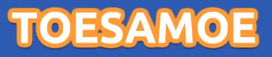 Toesamoe logo