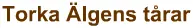 Torka Älgens tårar logo
