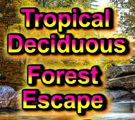 Tropical Deciduous Forest Escape logo