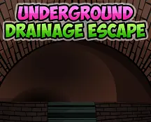 Underground Drainage Escape logo