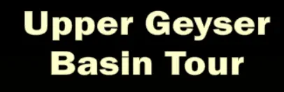 Upper Geyser Basin Tour logo