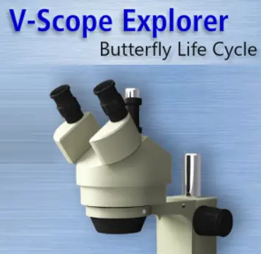 V-Scope Explorer: Butterfly Life Cycle logo