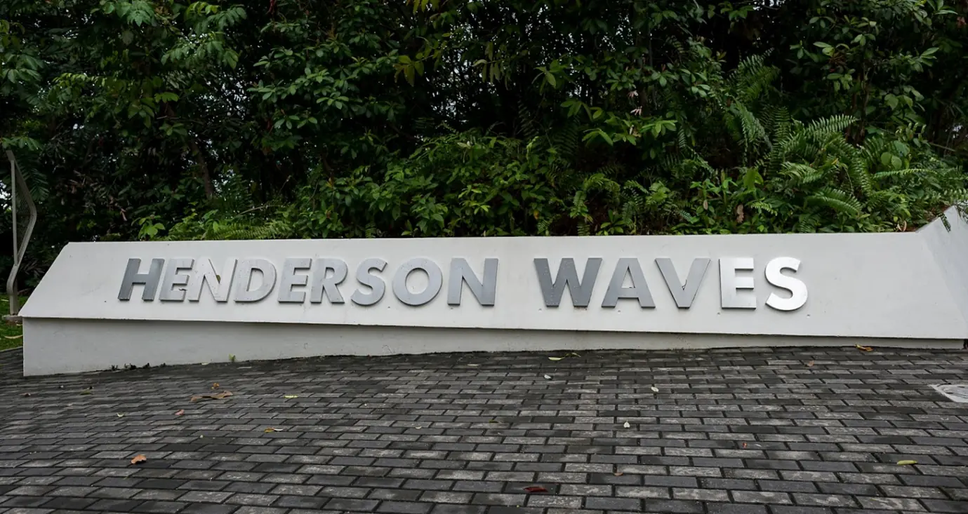 View from the walk (360 Pano) logo