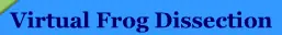 Virtual Frog Dissection logo