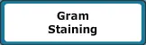 Virtual Labs: Gram Staining logo