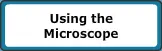 Virtual Labs: Using the Microscope logo