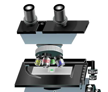 Virtual Microscope logo