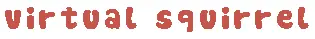 Virtual Squirrel logo