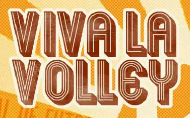 Viva La Volley logo