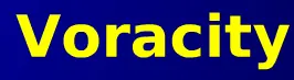 Voracity logo