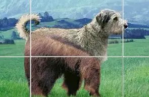 Wall-Emu (Sliding Puzzle) logo