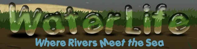 Water Life: Where Rivers Meet the Sea logo