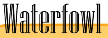 Waterfowl Quiz logo