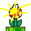 Whack a Plant logo