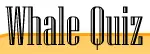Whale Quiz logo