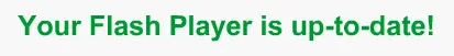 What is my Flash Player version? Is it up-to-date? logo
