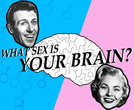 What Sex is Your Brain? logo