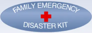 When disaster strikes! logo