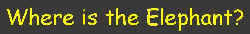 Where Is The Elephant? logo