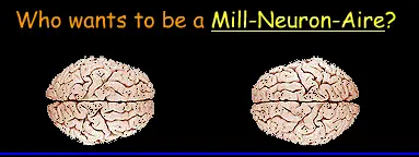Who Want's To Be A Mil-Neuron-Aire? logo