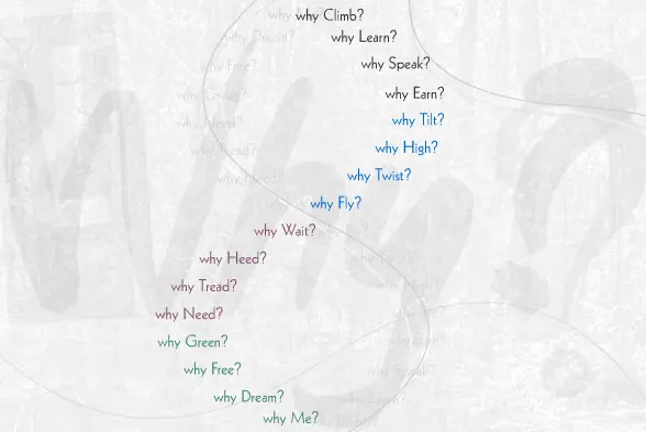 Why? logo