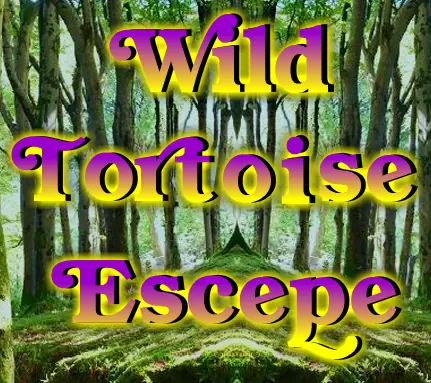 Wild Tortoise Escape logo