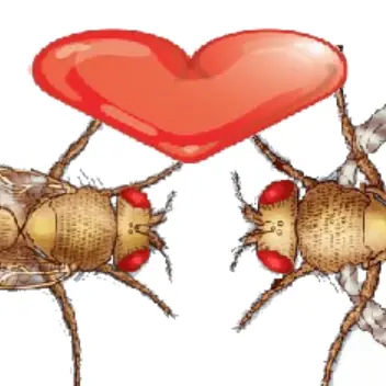 Wild Type Female x Vestigial Winged Male logo