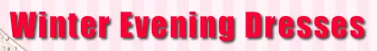 Winter Evening Dresses logo