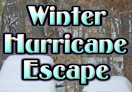 Winter Hurricane Escape logo