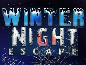 Winter Night Escape logo