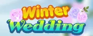 Winter Wedding logo