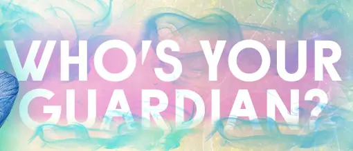 Wits Academy: Who's Your Guardian? logo