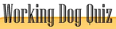 Working Dog Quiz logo