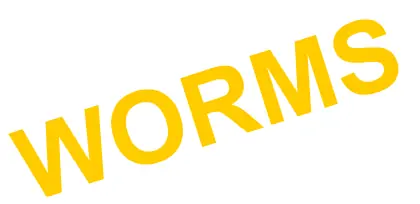 Worms logo