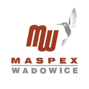 Wprowadzenie i menu Maspex Flash logo