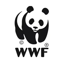 WWF Club Panda: Le jeu du point par point logo