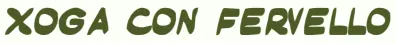 Xoga con Fervello Microsite logo