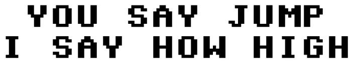 You Say Jump I Say How High logo