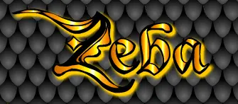 Zeba logo